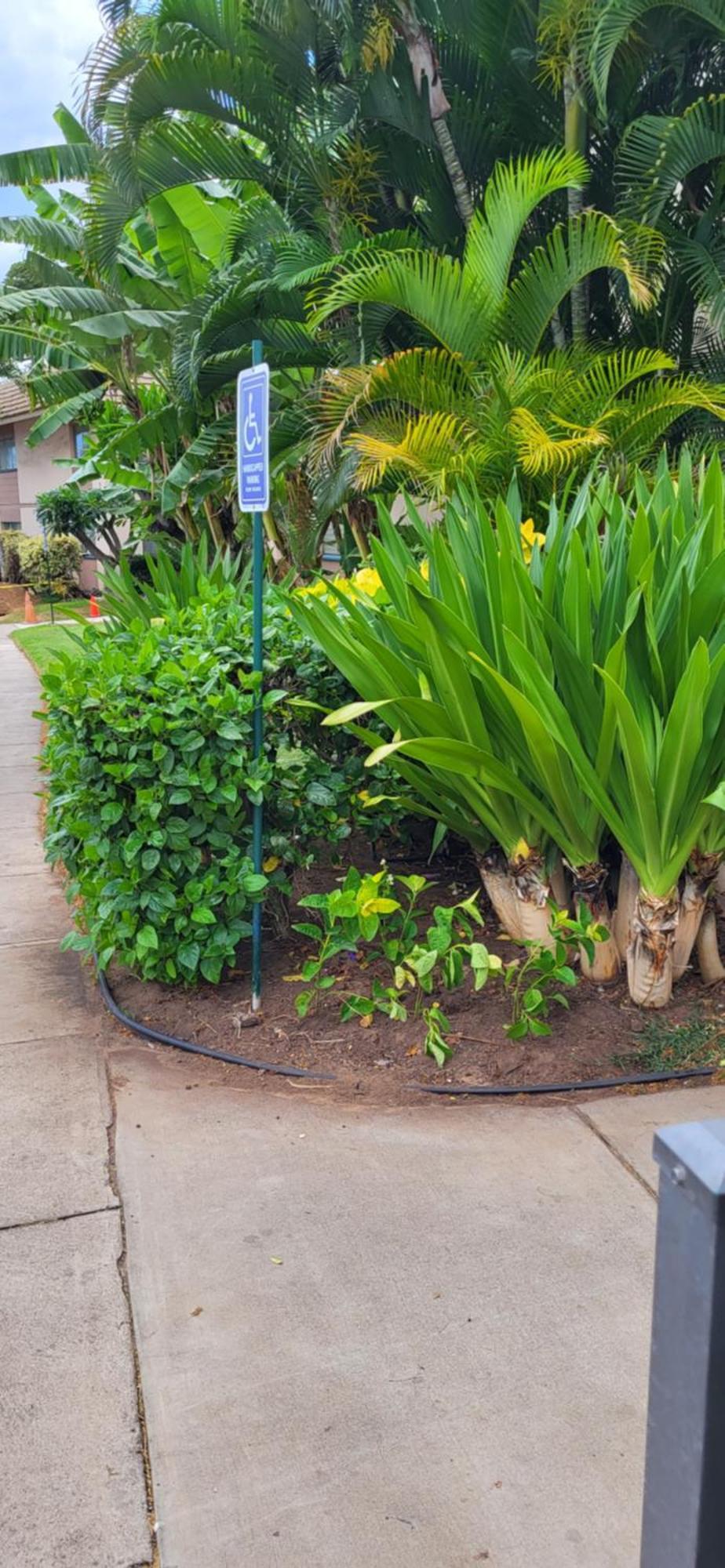 Kihei Kai Nani Resort מראה חיצוני תמונה
